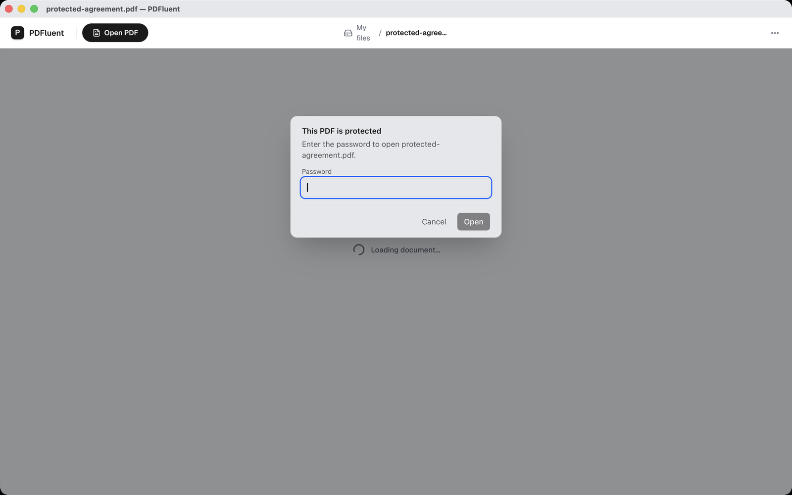 The "This PDF is protected" dialog asking for the password to open the file, with an empty "Password" field and an "Open" button.