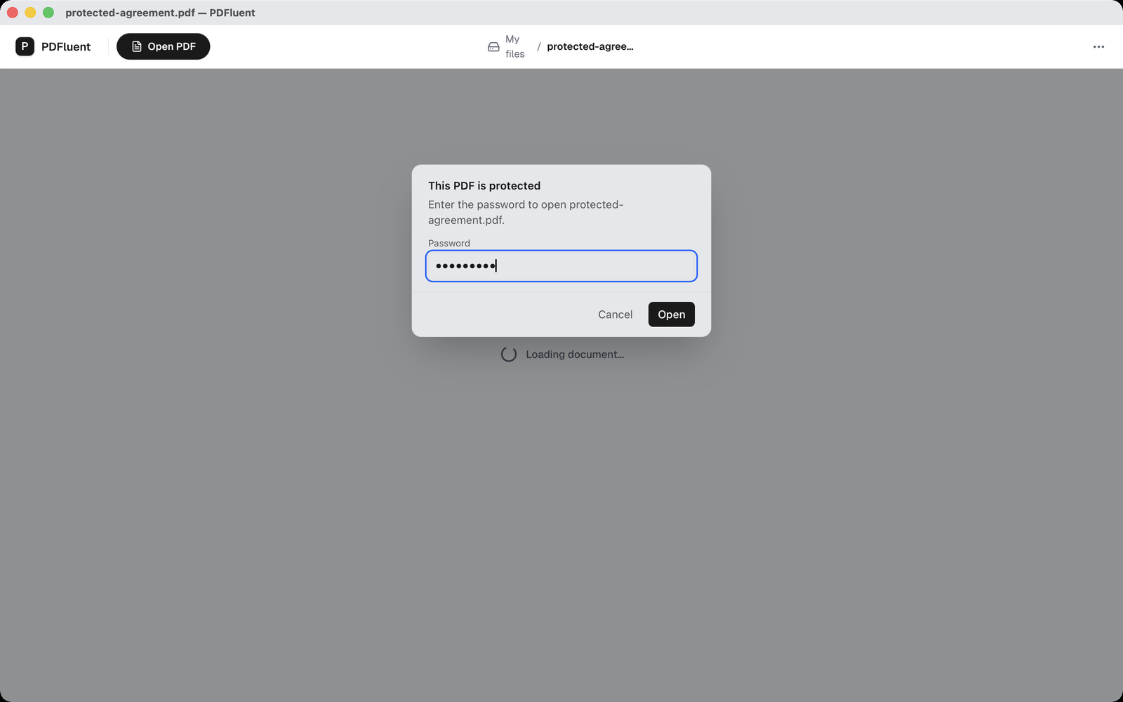 The same dialog with a password entered in the "Password" field and the "Open" button ready to click.